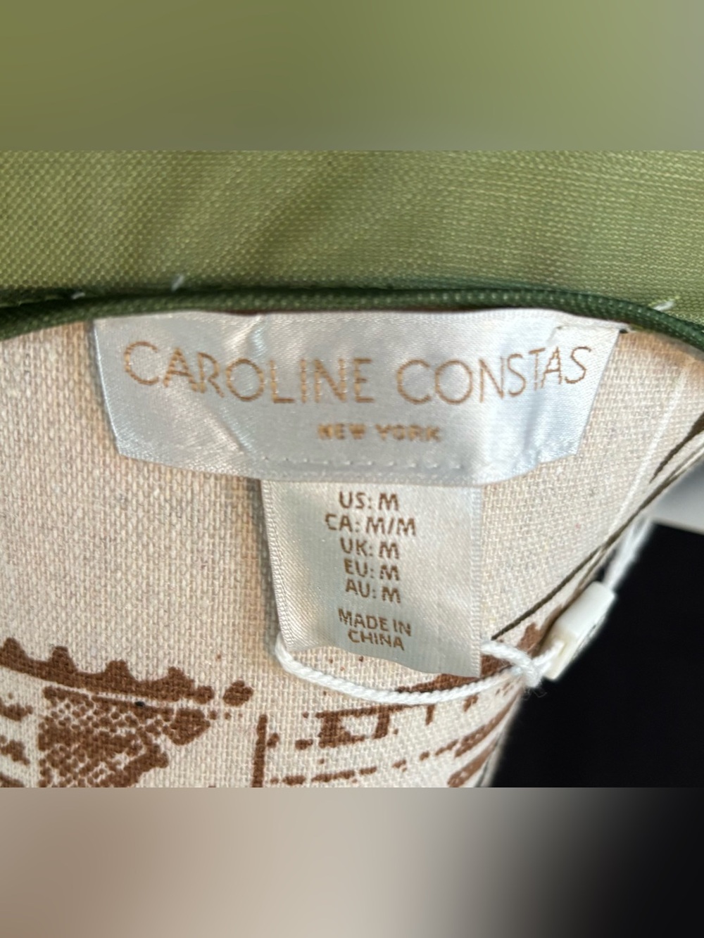 Caroline Constas Green Sheer Beach Mesh Cover Up Size Medium NWT - Picture 5 of 9